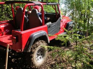 Ried 2008 – 4x4 Trial, Foto 9