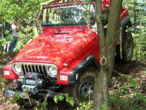 Ried 2008 – 4x4 Trial, Foto 11