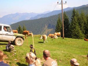 Saalbach 2008 – 4x4 Trial, Foto 16