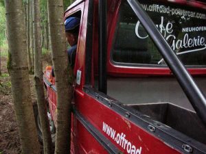 Wartberg 2008 I – 4x4 Trial, Foto 26
