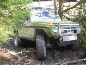 Ampflwang 2010 – 4x4 Trial, Foto 19