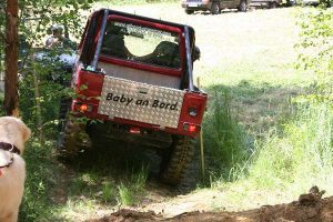 Amstetten 2010 – 4x4 Trial, Foto 41