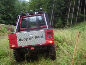 St. Wolfgang 2010 I – 4x4 Trial, Foto 2
