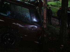 St. Wolfgang 2010 I – 4x4 Trial, Foto 17