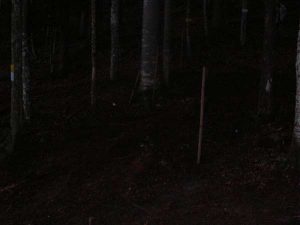 St. Wolfgang 2010 I – 4x4 Trial, Foto 38