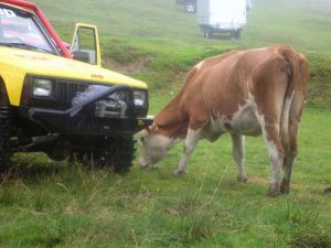 Saalbach 2010 – 4x4 Trial, Foto 5