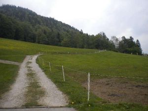 St. Wolfgang 2011 – 4x4 Trial, Foto 44