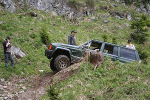 St. Wolfgang 2011 – 4x4 Trial, Foto 69
