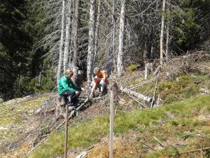 Saalbach 2011 – 4x4 Trial, Foto 18