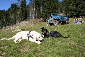 Saalbach 2011 – 4x4 Trial, Foto 76
