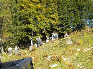 Gaissau 2011 – 4x4 Trial, Foto 8