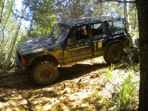 Amstetten 2012 – 4x4 Trial, Foto 32