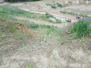 Adlersbach 2013 – 4x4 Trial, Foto 17