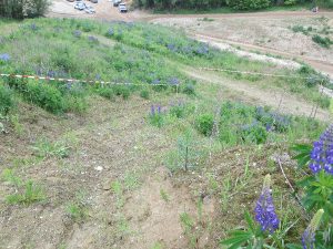 Adlersbach 2013 – 4x4 Trial, Foto 18