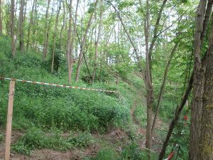 Adlersbach 2013 – 4x4 Trial, Foto 63