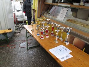 Amstetten 2014 – 4x4 Trial, Foto 58
