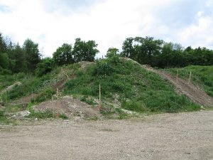 Amstetten 2014 – 4x4 Trial, Foto 75